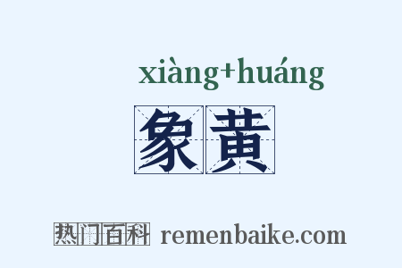 象黄是什么意思的图片